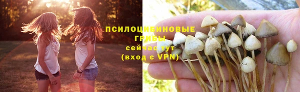 синтетический гашиш Болохово