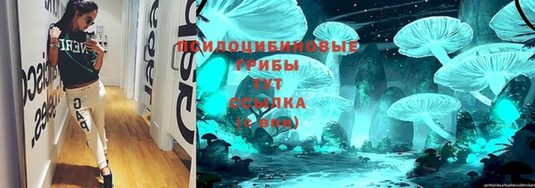 тгк Абаза