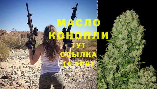 тгк Абаза