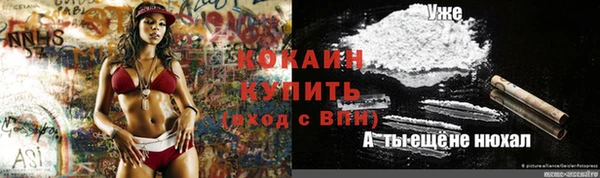 PSILOCYBIN Абдулино