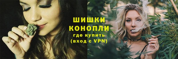 PSILOCYBIN Абдулино