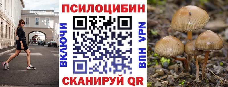 Галлюциногенные грибы мицелий  hydra ONION  Заринск 