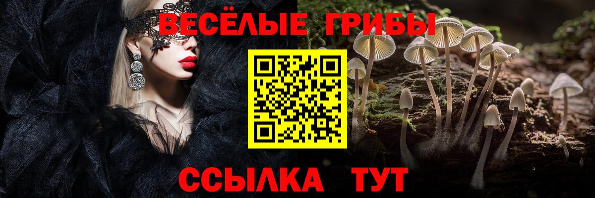Галлюциногенные грибы мухоморы  Вход с VPN  Заринск 